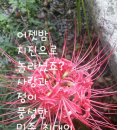 해바 이미지