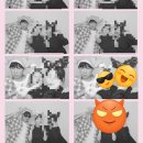 산호대로29길-2 이미지