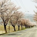보령 나들이 2코스 이미지