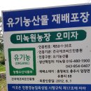 미녹원