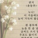 SB 행정사 사무소 이미지