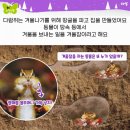 아람마트 이미지