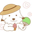 스테이지리산아침 이미지