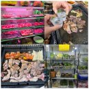 대전 무한리필 맛집 뷔페 부뜰생고기 한돈