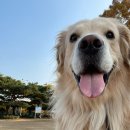 송파위례유치원 이미지