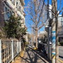 평강정형외과 이미지