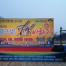 달빛바라기 이미지