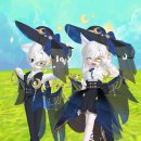 슈테른헤어 이미지