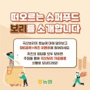 보리맘 이미지
