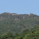 도토리 태양광발전소 이미지