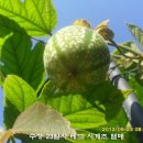 수정-28 이미지