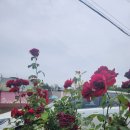 은하수펜션 | 남동생 수료식 날, 우리 가족의 쉼표였던 논산 은하수펜션 후기🌿