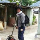 농협 스마트뱅킹 쓰시는 언니,오빠들 지금 접속 되나요? 먹통인데 한번 들어가보시고 얘기쫌 해주세요 ㅜㅜ 이미지