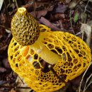 1박2일 위 이미지