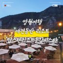 타임스텐드포장센타 | 영월 ㅣ 애견동반 숙소 동강시스타 패밀리룸(feat. 근처 맛집(두메브런치, 사랑방식당, 일미닭강정))