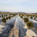 미림농원 이미지