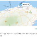 제주후니네 이미지