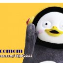 투엘컴퍼니