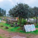 미소목장 이미지