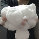 [닥터벨머 더마 리페어 샴푸] 사용후기