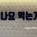 여우애김밥 파주운정점 이미지