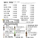 볼하이