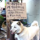 흠