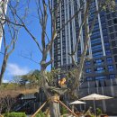 롯데캐슬가야 1단지 | (세이프하우스)창원 롯데캐슬 포레스트1단지 사전점검후기