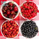 코비한의원 이미지