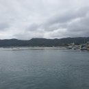 양포항 | 🎣 양포항 숭어 낚시 후기 – 초보자도 손맛 보는 최고의 포인트! (2025년 10월 8일)