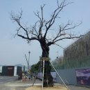 5.18소공원 이미지