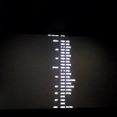 연출의 자유인 이미지