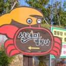 신안 우전 설레미 캠핑장 이미지