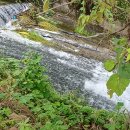 중국인의 부가 상상이상이 된듯..미 본토를 헤지펀드가 공격할수 있는 구조는 아냐.. 이미지