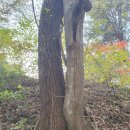 경기둘레길 가평19코스 이미지