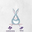 토끼토기