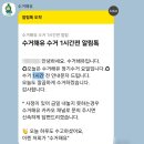원해유통 - 고양시 일산동구 | [분리수거 대행 서비스] 문 앞에 두면 수거하는 '수거해유' 1년 이용 후기 (광고아님)