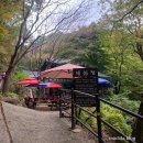 세심정 | 충북 보은군 블랙야크 100대명산 속리산 맛집 / 세심정 : 해물파전, 감자전, 솔잎막걸리