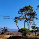 모정 마을회관? 이미지