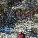 마당바위로 이미지