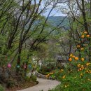 청계산 등산로 이미지