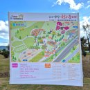 황산(주차장)화장실 | 11월 경남 양산 황산공원 국화축제 수유실 행사 주차 후기