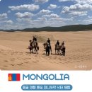 낙타 | 몽골 울란바토르 근교 사막 룬숨 미니사막 낙타 및 낙타 우유 후기