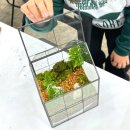 (원데이) 나만의 작은 숲, 테라리움 이미지