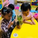 숲속향기생태 어린이집 이미지