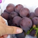 도걸농장 이미지