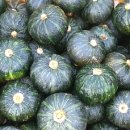 보우짱(밤호박, 미니밤호박),단호박 맛있게 찌는 법 이미지