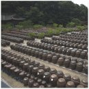 송강휴게식당 | 세종시 세종 가볼 만한 곳 주말여행지 추천 맛집 뒤웅박 고을 장향관 정성 전통장류 박물관 대전 근교 여행