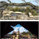 그린하트 민박 이미지