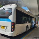 316모터스